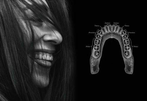 periodontology
